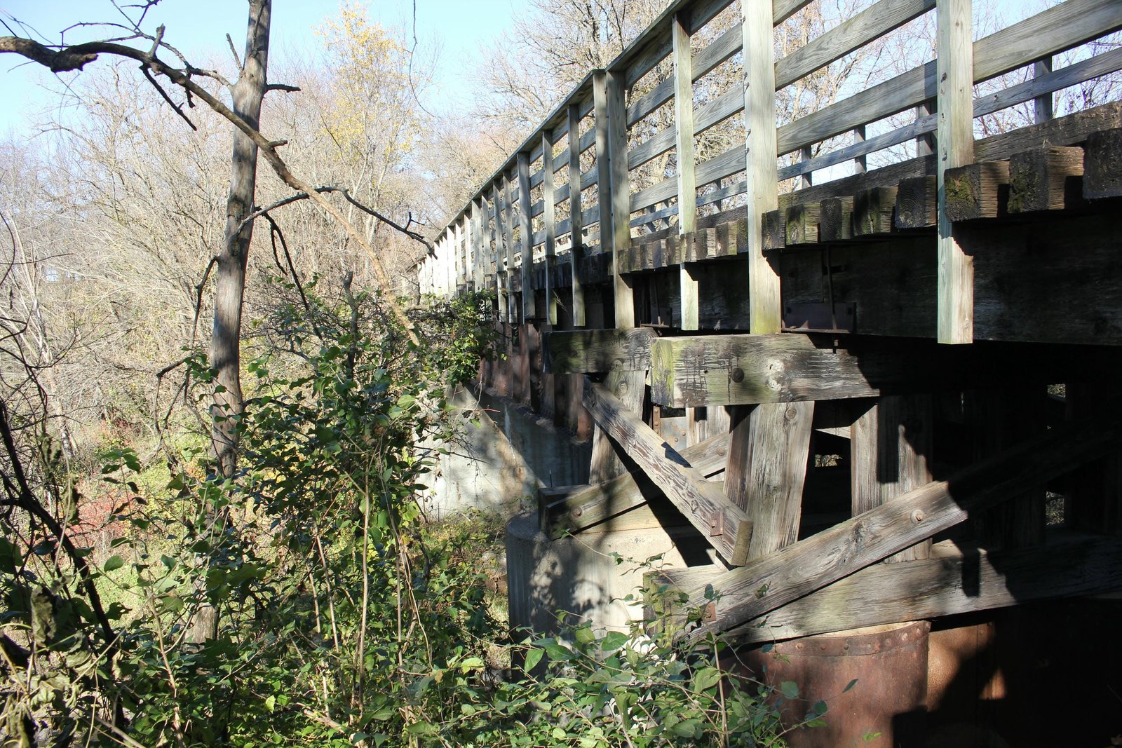 Looking north